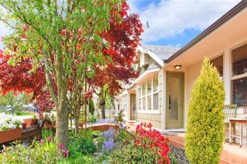 Enhance Your Curb Appeal with Expert Tree Care in Philadelphia