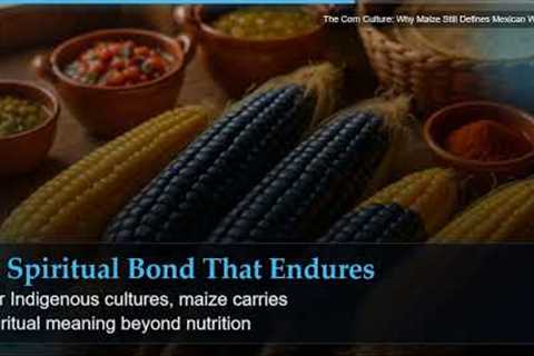 The Corn Culture: Why Maize Still Defines Mexican Wellness