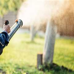 How Mosquito Control in Sheffield, UK Helps Maintain Outdoor Appeal Beyond Residential Appraisals