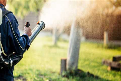 How Mosquito Control in Sheffield, UK Helps Maintain Outdoor Appeal Beyond Residential Appraisals